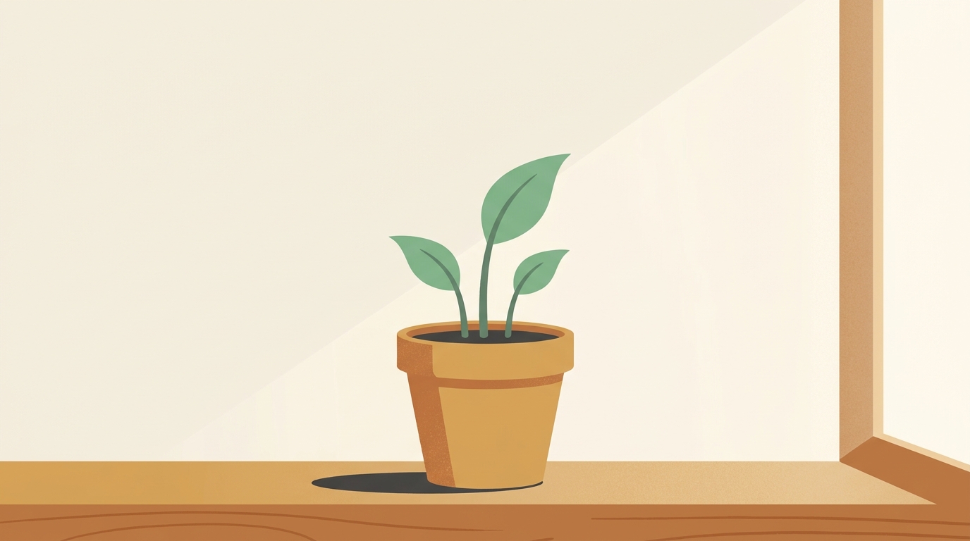 Stylised plant in a terracotta pot on a sunlit window sill, suggesting long-term KiwiSaver growth